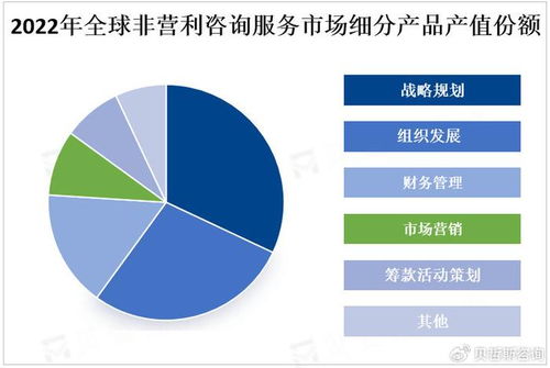 全球非營利咨詢服務市場持續擴容 社會經濟領域的機遇與挑戰